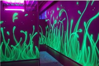  Bergerac laser game decor 